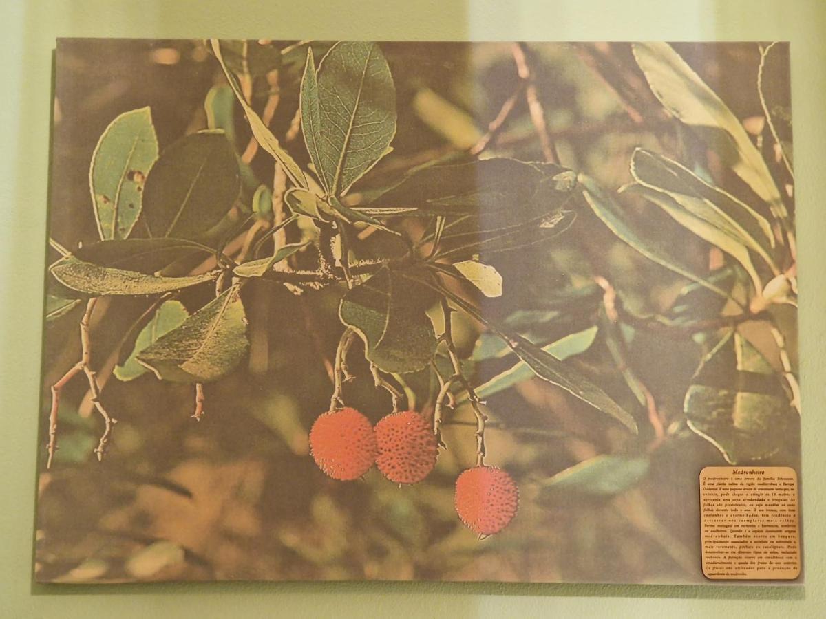 D'Aqui E D'Acola - Pardieiros Ngoại thất bức ảnh